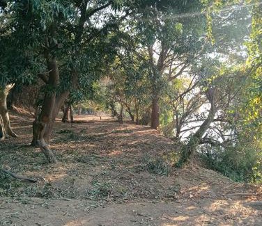 Chirundu Otro | Chirundu Riverside Campsite