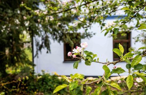 Hluboka Apartamento | Chlum 5