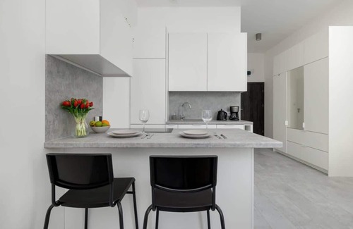 West Pomeranian Voivodeship Apartamento | Chmielewskiego 24 | Contemporary Studio | WiFi