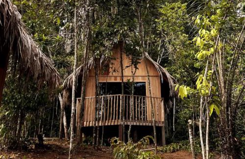Novo Airao Otro | Choupanas Awa - All inclusive em Anavilhanas