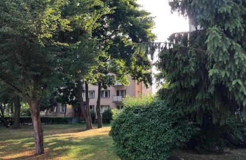 Biala Podlaska Apartamento | Chrobrego 269