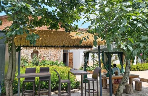 Guandu Casa | Chunjian Guesthouse
