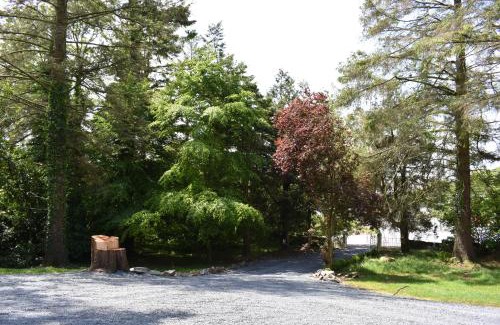 Monaghan Casa | Church View Manor