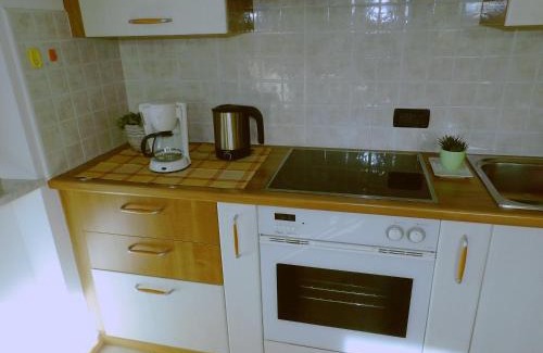 Moena Apartamento | Ciasa Gran Panorama Moena