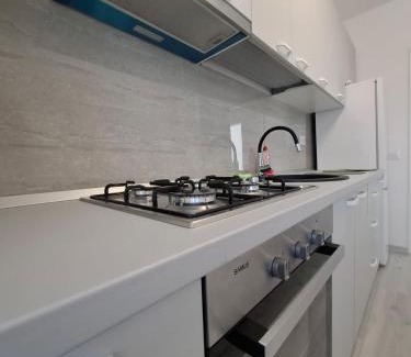 Miroslava Apartamento | Cicoarei Apartment