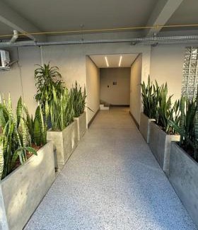 Saguacu Apartamento | Cidade das bicicletas