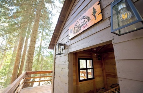 Ponderosa Cabina | Cielo Blanco- First Responder Cabin w Treehouse