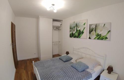 Mysliborz Apartamento | Cienista Myślibórz AN