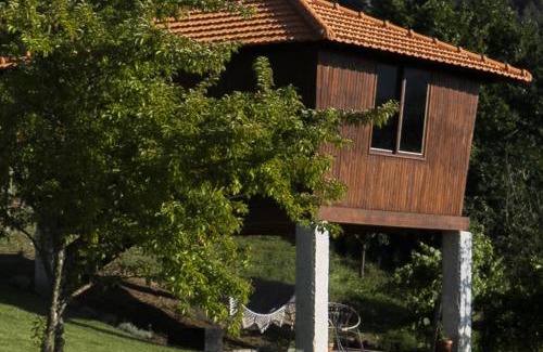Castelo de Paiva Casa | Cimo da Vinha - Nature Spot
