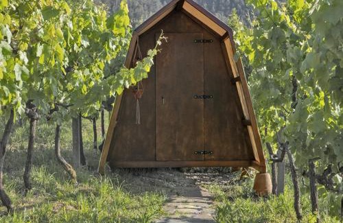 Castelo de Paiva Casa | Cimo da Vinha - Nature Spot