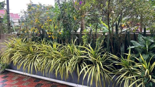 Vayittiri Casa | CITADEL HOLIDAY HOME