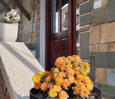 Berat Casa | CitrusNest
