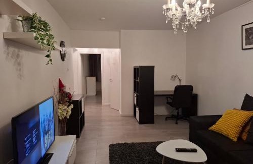 Kuopio Apartamento | City Apartment Snellmaninkatu 22 A, yksityinen pistokkeellinen paikoitus sisältyy hintaan