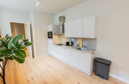 Centrum Villa | City Center 3BDR Apartment WS