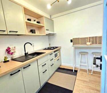 Old Town Apartamento | City Center Apartment Cluj