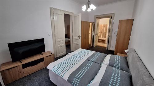 Nove Mesto Apartamento | City center apartment Thomas No3