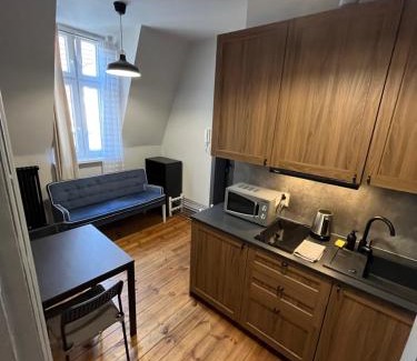 Poznan City Center Apartamento | City center apartment-Wrocławska