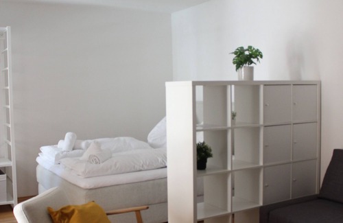 Innsbruck City Centre Apartamento | City Center Golden Roof 5