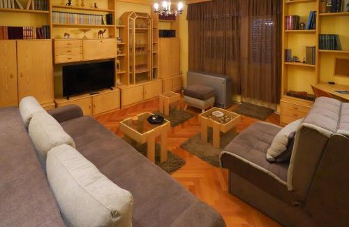 Zajecar Apartamento | City center