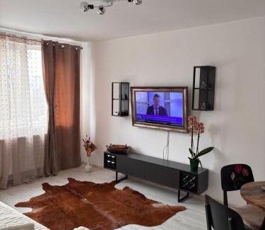 Bacau Apartamento | City Comfort Apartment