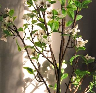 La Creu del Grau Apartamento | CITY FLATS - Avenida Baleares