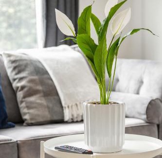 St. Dunstan's Casa | City Gem - 2 Bed House, 6 mins from Liverpool Street, Shops & Restaurants
