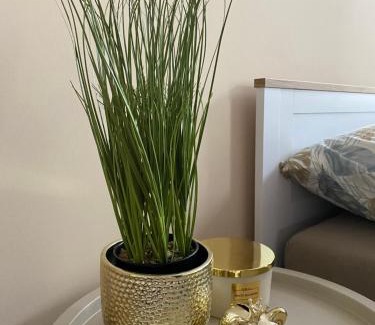 Barlinek Apartamento | City Lights Apartment