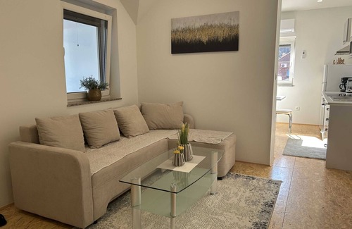 Siska District Apartamento | City Modern and Vibrant Apartments Ljubljana - Standard One Bedroom Apartment