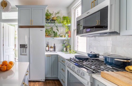 Andersonville Casa | Classic Chicago 2 Flat transformed into a Parisian plant lovers paradise
