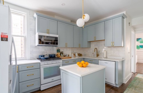 Andersonville Casa | Classic Chicago 2 Flat transformed into a Parisian plant lovers paradise