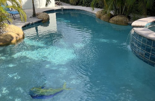 Coral Shores Casa | Encantadora casa de Florida con una evocadora sensación de isla tropical.