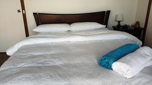 Clayton Casa | Clayton Living Town House at Monash Doorstep
