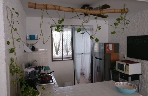 Downtown Cancun Apartamento | Limpio apartamento espacioso con piscina. Centro de Cancún a 5 minutos de la playa