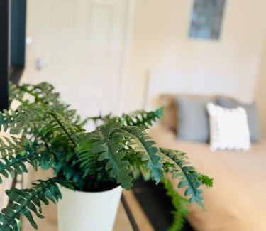 Newport Apartamento | Clevedon House