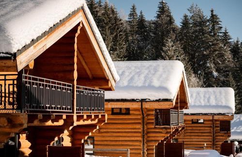 Jenig Chalet De Esquí | Clofers Leisure Lodges Jenig