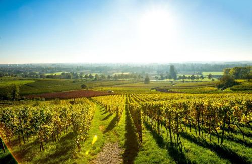Vire Cama Y Desayuno | Clos Ceres