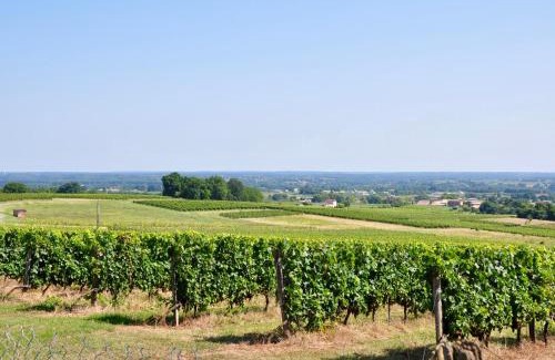 Saint-Pierre-d'Aurillac Casa | CLOS SAINT SAUVEUR - guesthouse au coeur des vignes sur le coteau