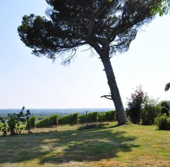 Saint-Pierre-d'Aurillac Casa | CLOS SAINT SAUVEUR - guesthouse au coeur des vignes sur le coteau