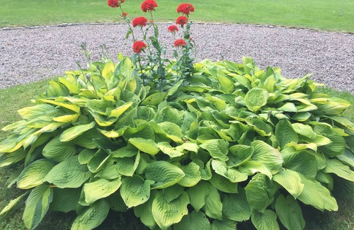 Unnaryd Casa | Patio de caza en medio de Småland con la naturaleza a la vuelta de la esquina.