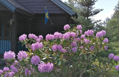 Norrtalje Casa | Idilio y pura experiencia en plena naturaleza en la casa de vacaciones Norrtälje (con SAUNA)