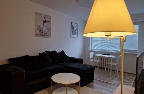Kaunas Apartamento | Close to Park