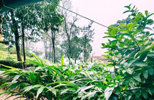 Vagamon Casa | CLOUD HUG'S COUPLES STAY Rooms Vagamon