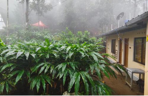 Vagamon Casa | CLOUD HUG'S COUPLES STAY Rooms Vagamon