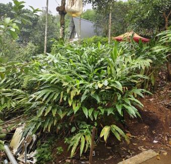 Vagamon Casa | CLOUD HUG'S COUPLES STAY Rooms Vagamon