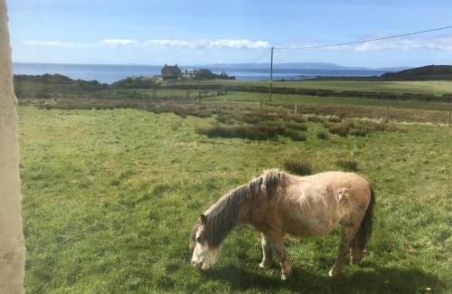 Kilmory Casa | Cnocanreoch Farm Glamping