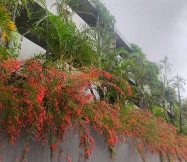 Salt Rock Apartamento | Coastal Condo in a Forest Estate - with inverter