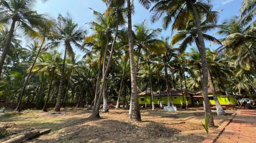 Devbag Casa | Coco Hut , Devbaug