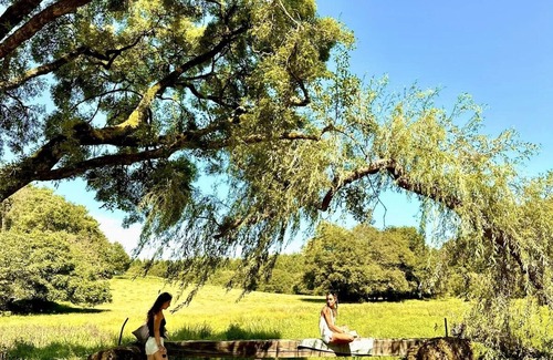 Pluvigner Casa | COCON NATURE