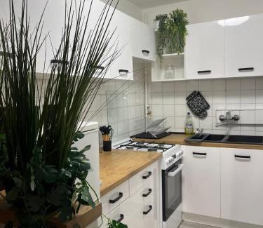 Gdansk Apartamento | Coconut Apartment - 5 min to Baltic Sea