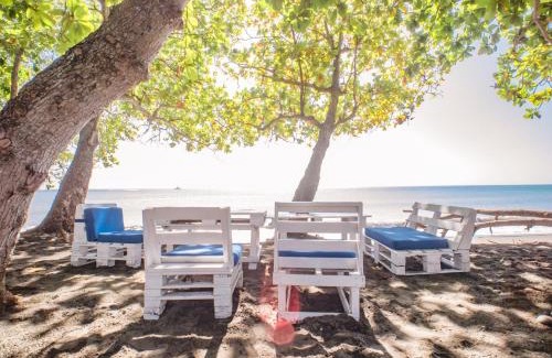 Sabana Palenque Apartamento | Coconut Paradise Beach Hotel